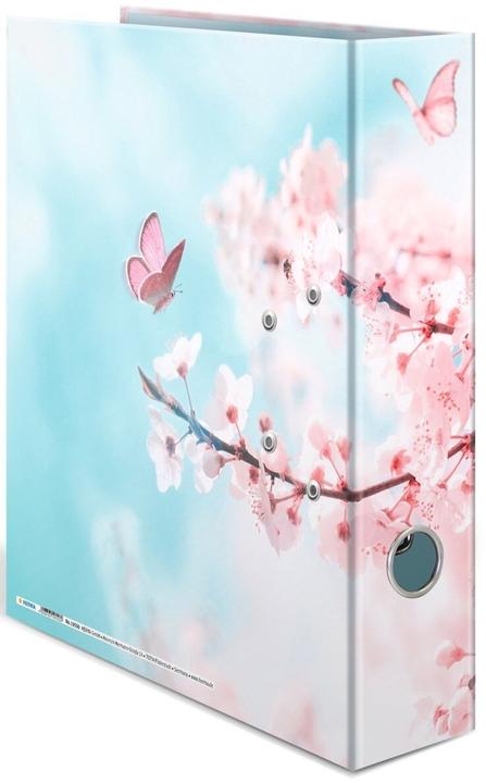 Cherry Blossom