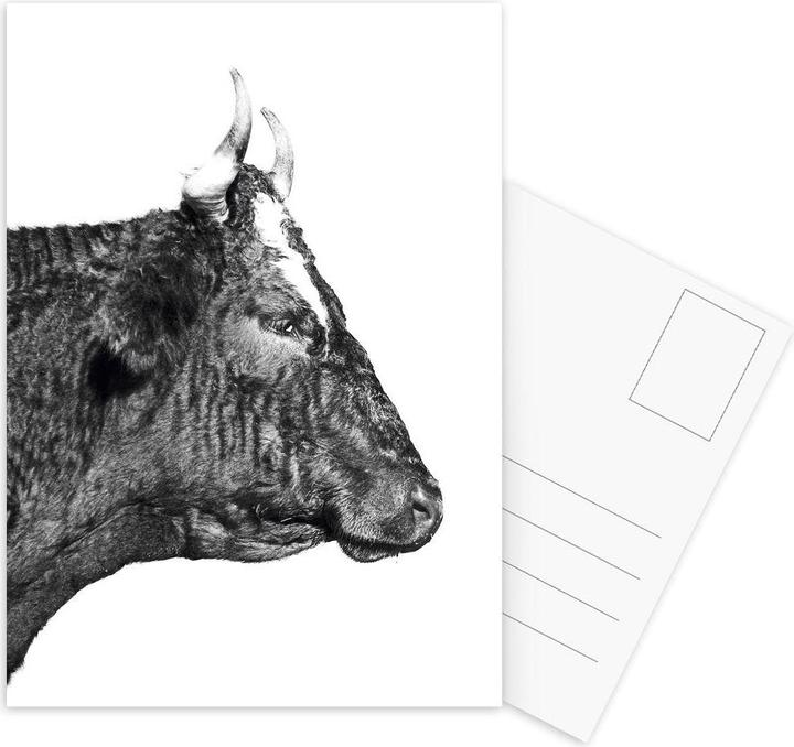 Actual product image Juniqe Bull - Cows (3 pcs.)