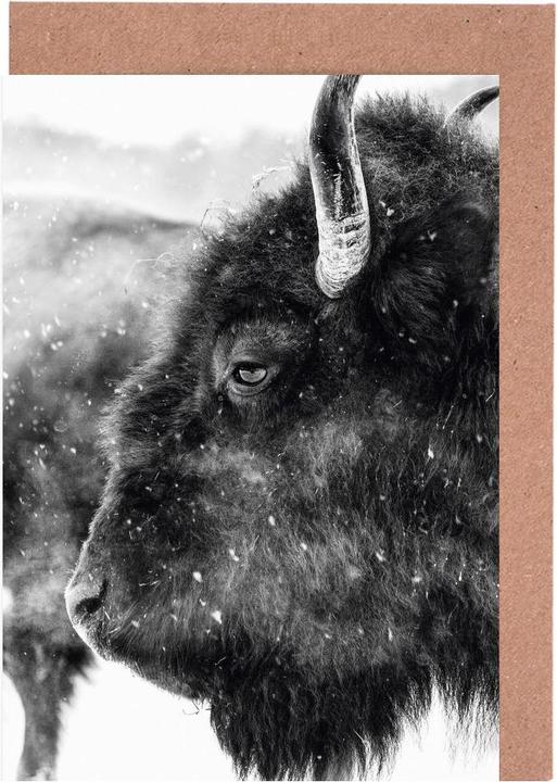 Actual product image Juniqe Winter Bison - Cows (15 pcs.)