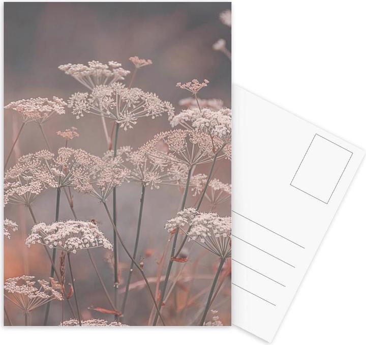 Immagine prodotto Juniqe Mystic Garden Peach - Fiori (5 pz.)
