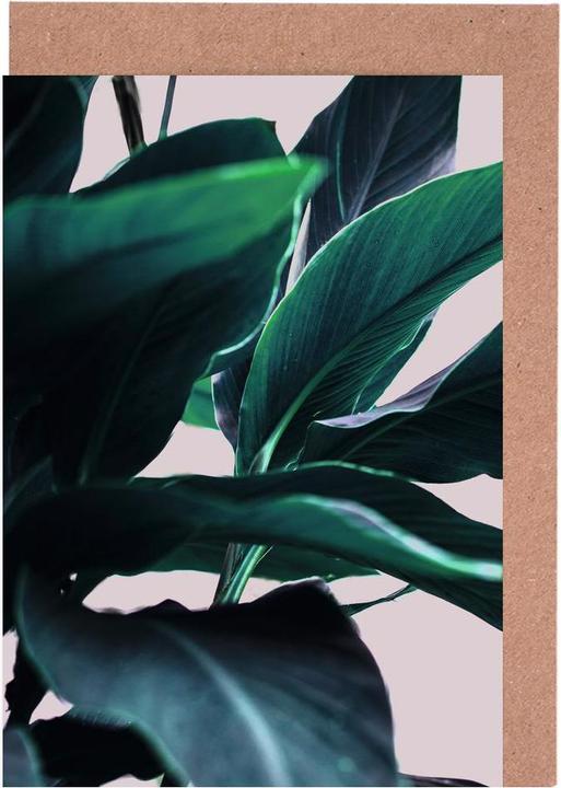 Immagine prodotto Juniqe Foglie di palma 4 - Palme (15 pz.)