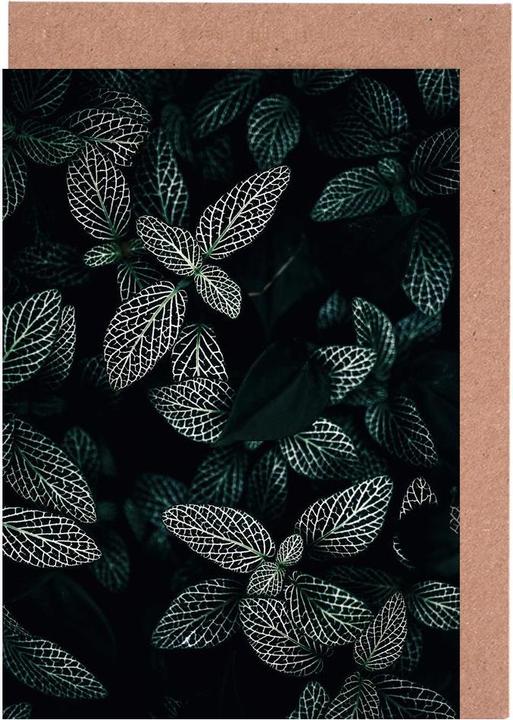 Immagine prodotto Juniqe Foglie scure 3 - Foglie e piante (3 pz.)