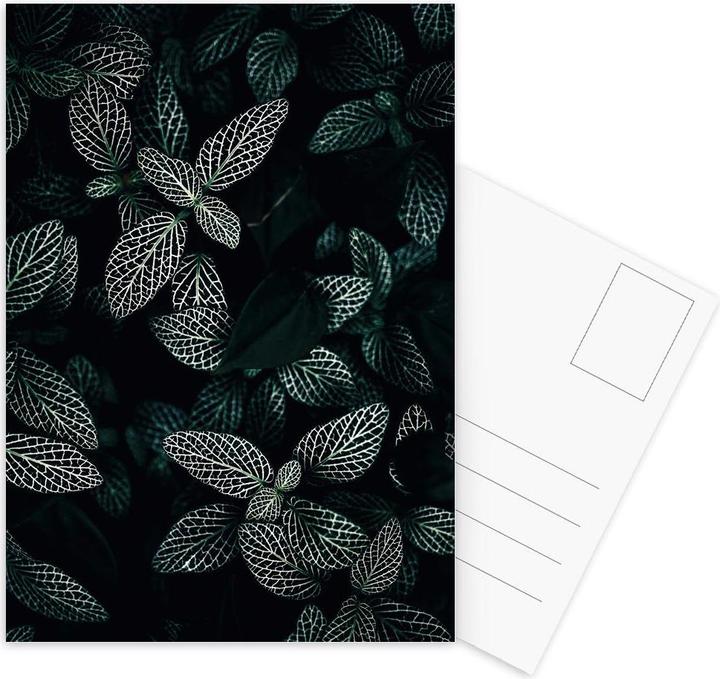 Immagine prodotto Juniqe Foglie scure 3 - Foglie e piante (15 pz.)
