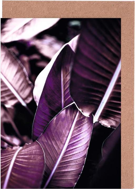 Immagine prodotto Juniqe Foglie rosse - Foglie & Piante (15 pz.)