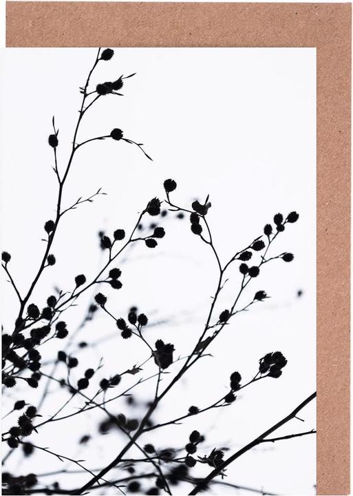 Image du produit Juniqe Winter Silhouettes 1 - Feuilles & Plantes (15 pcs)