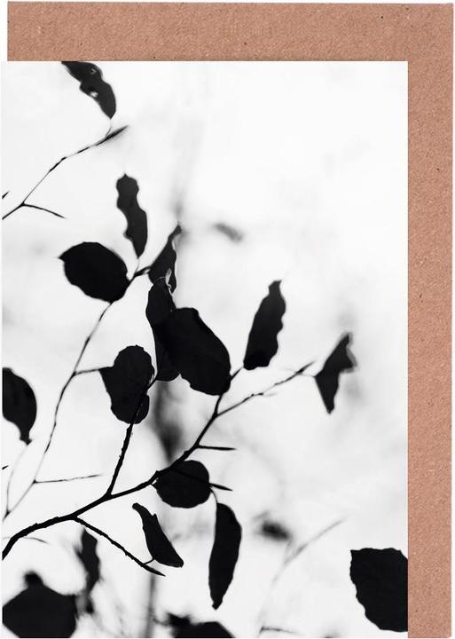 Immagine prodotto Juniqe Sagome 1 - Foglie e piante (5 pz.)
