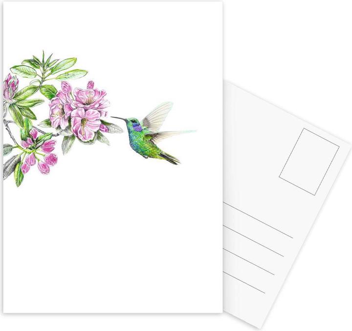 Produktbild Juniqe Kolibri - Kolibris (15 Stk.)
