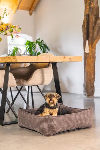 Produktbild Designed by Lotte Ribbed (Hund)
