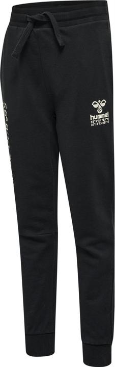 Image du produit hummel Hmlglobal Pants (104)