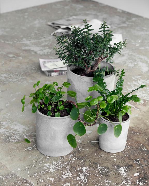 Image du produit House Doctor Ave (31 cm)