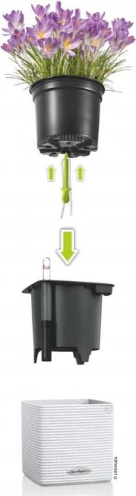 Immagine prodotto Lechuza cubo (14 cm)