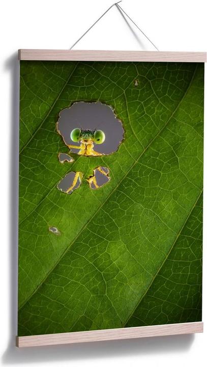 Immagine prodotto Trenddeko Wilianto - Ciao piccolo amico (80 x 120 cm)