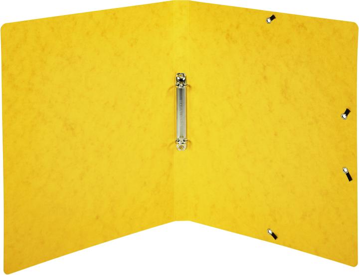 Image du produit Exacompta Classeur à anneaux Top Color A4 2 cm, Jaune (A4, 1 x)