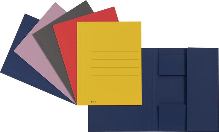 Immagine prodotto Biella Raccoglitore di file Jura Recycolor (A4, 1 x)