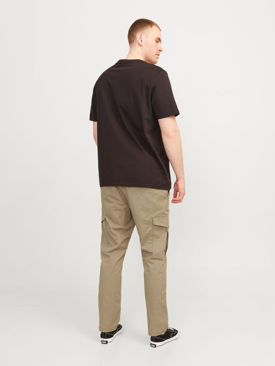 Image du produit Jack & Jones Jpstace Jjsummer Cargo Pls (W44/L34)