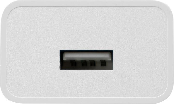 Actual product image Benson Electric USB-C charger, white