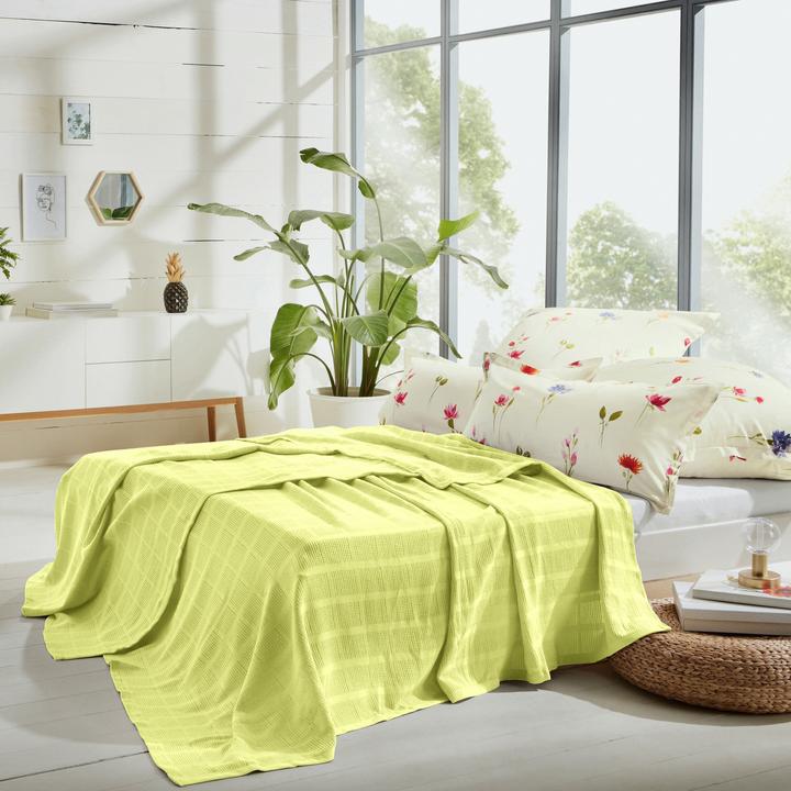 Actual product image Erwin Müller Summer blanket (220 x 240 cm)