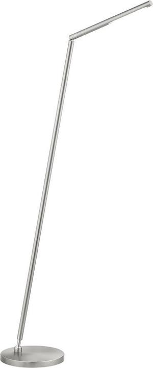 pfister Dina