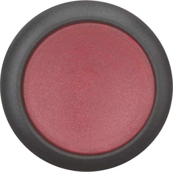 Immagine prodotto Eaton Pulsante illuminato, titanio RMQ, piatto, 216947