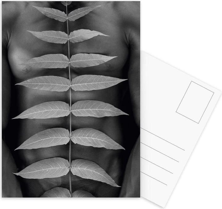 Produktbild Juniqe Torso - Modefotografie (15 Stk.)