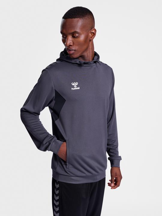 Produktbild hummel Hmlauthentic Pl Hoodie (L)