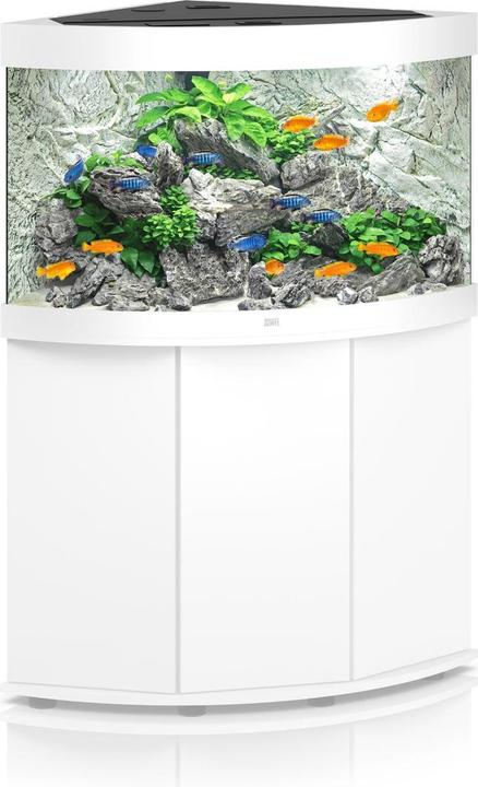 Image du produit Juwel Aquarium Aquarium Trigon 190 98.5x59.5x70cm blanc (190 l)