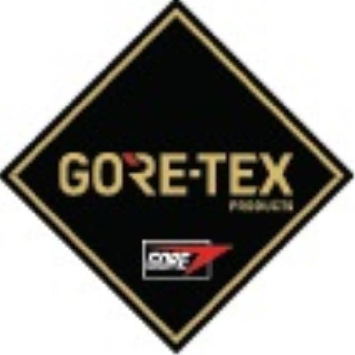Actual product image Lowa Renegade Work II S3 GTX (S3, 46)