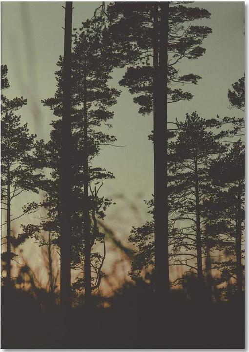 Actual product image Juniqe The Forest I - Trees (A5, Lined)