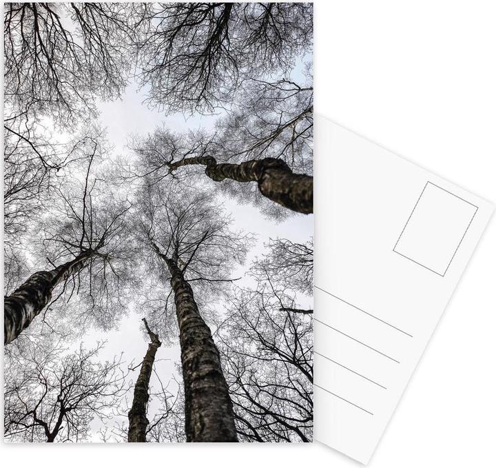 Produktbild Juniqe Forest 1 - Bäume (3 Stk.)