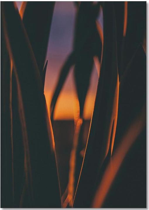 Actual product image Juniqe The Bend - Sunsets (A5, Plain)
