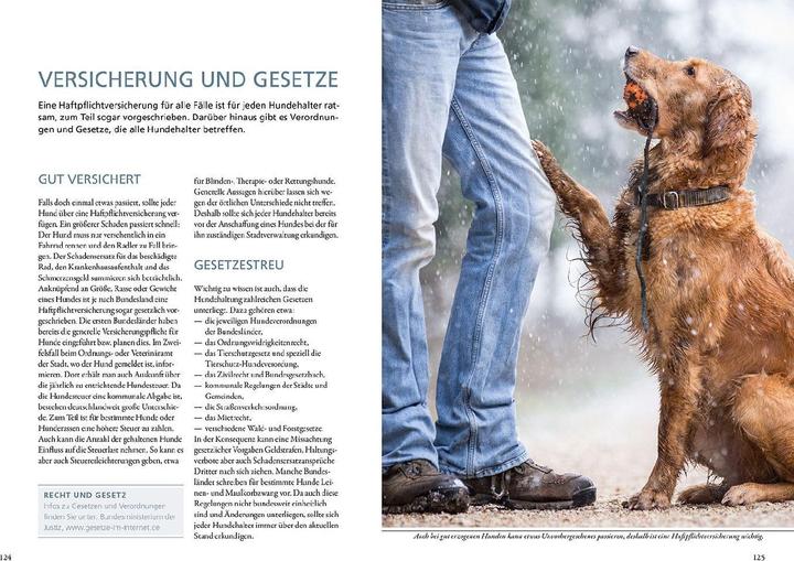 Produktbild Kosmos Hundeführerschein und Sachkundenachweis (Deutsch, Sandra Bruns, 2020)