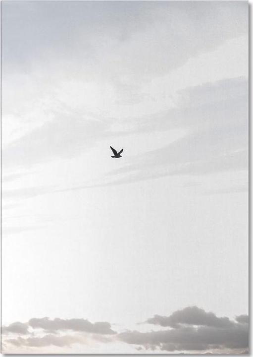 Actual product image Juniqe Flying High - Skies & Clouds (A4, Plain)