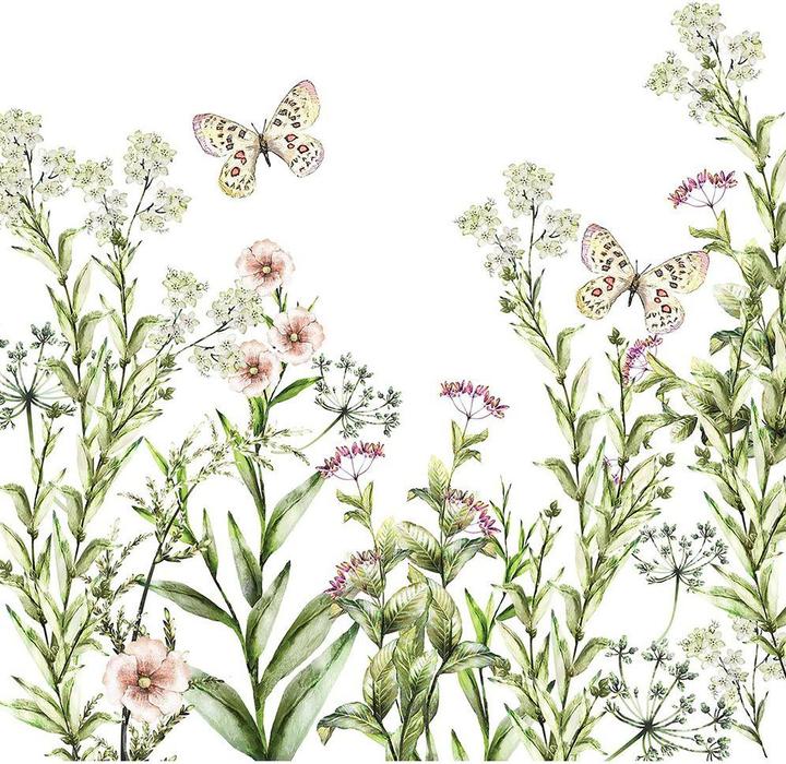 Blanc, Multicolore