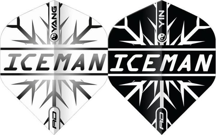 Red Dragon Gerwyn Price Noir et Blanc Yin Yang Flights