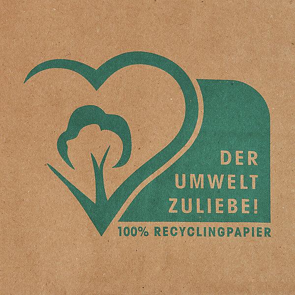 Produktbild kaiserkraft Papiertragetasche TERRA (250 Stück)