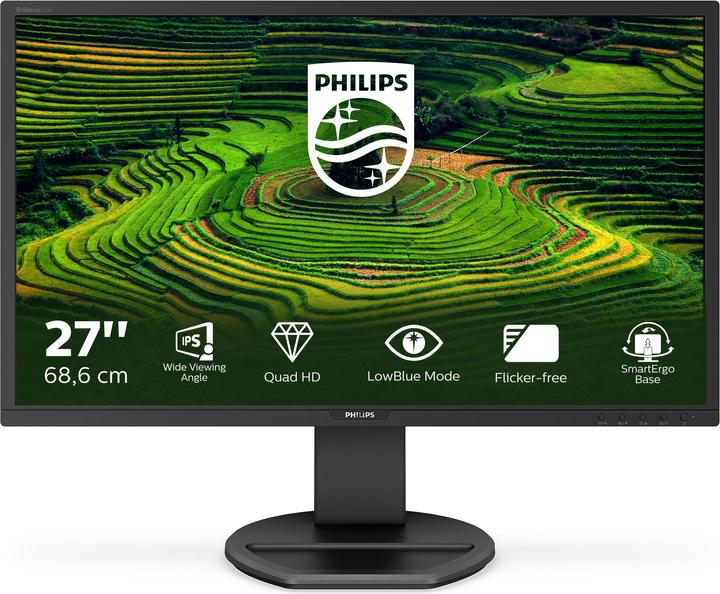 Philips 272b8qjeb/00 (2560 x 1440 Pixel, 27")