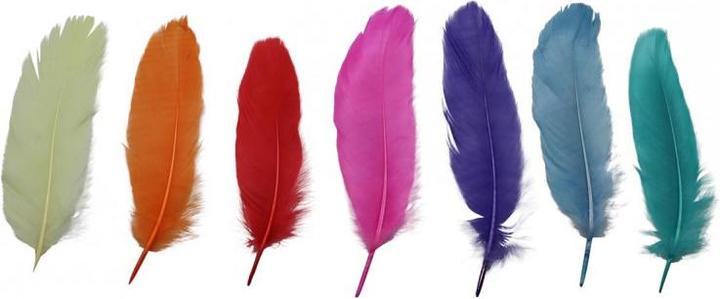 Actual product image Glorex Decorative feathers, coloured, 4g