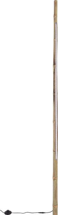 Produktbild zz_ArchivedByPCD_Mutoni Lifestyle Stehlampe LED rohr Höhe 200