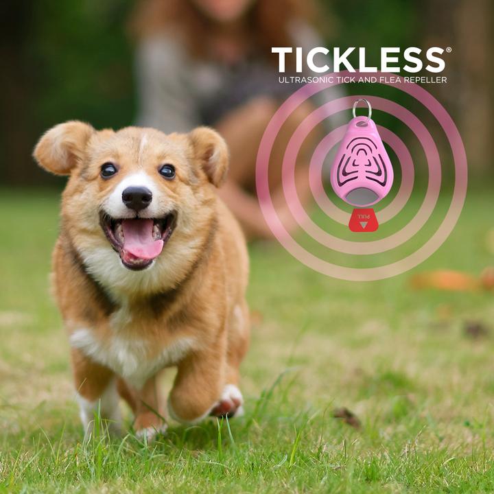 Immagine prodotto Tickless Animale domestico senza solletico (Cane, Gatto)