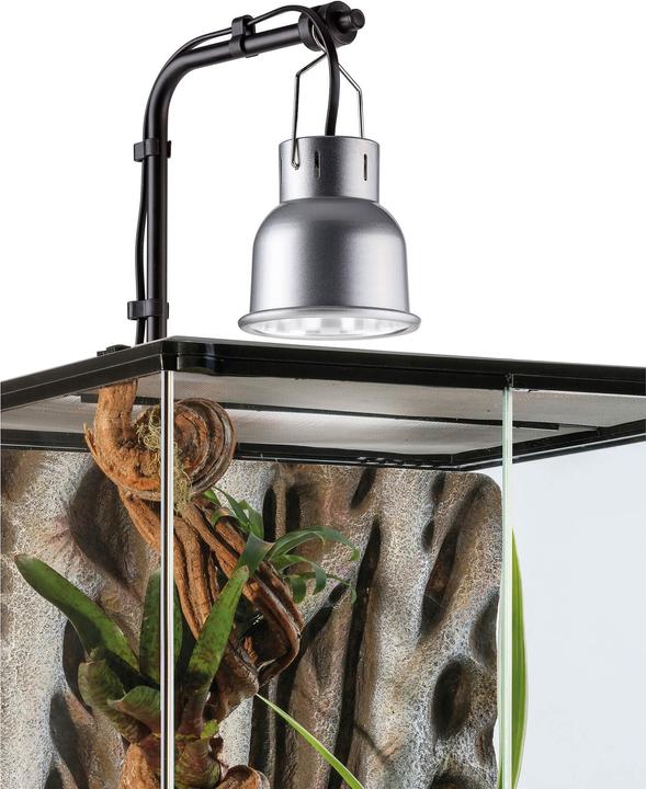 Actual product image Exo Terra Reptile Dome NANO Ø 10 cmwith holder (UVB)