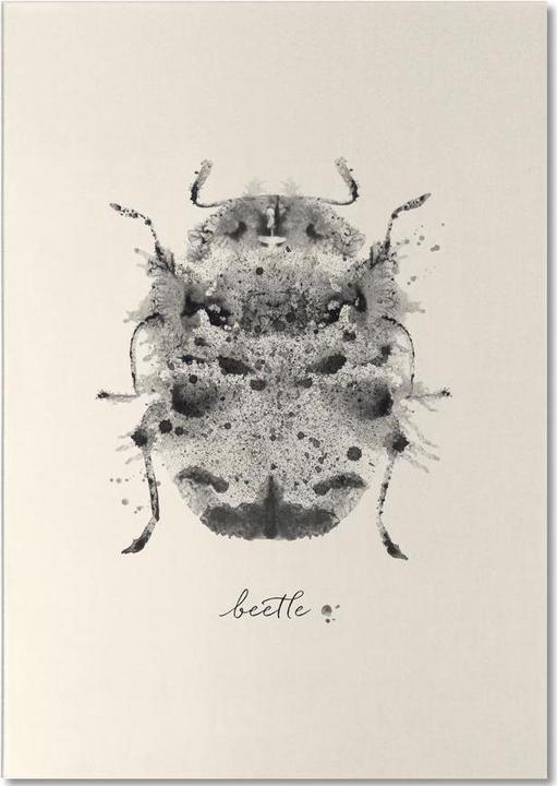 Image du produit Juniqe Ink Beetle Greyscale - Insectes (A5, Blanc)
