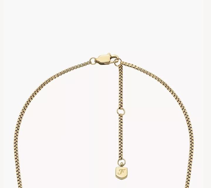 Actual product image Fossil Jewelry Necklace (Stainless steel)