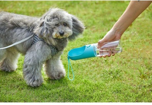 Actual product image Petkit Eversweet Travel (0.40 l)