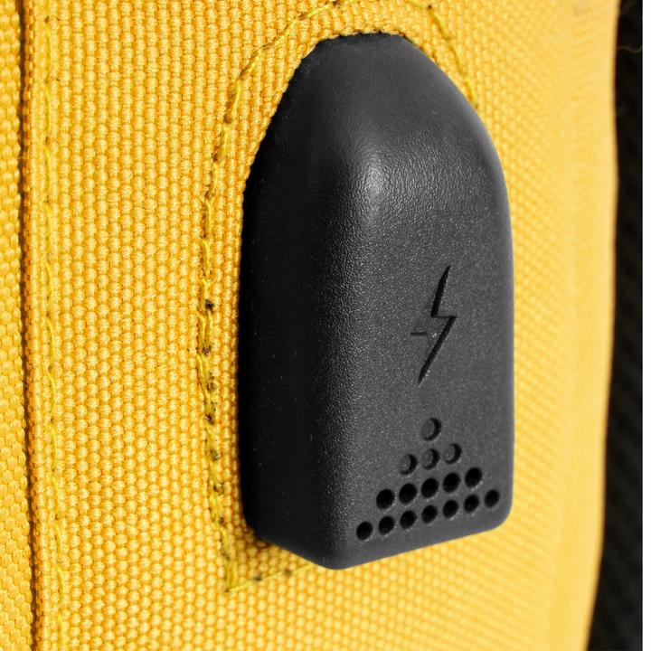 Actual product image Pantone PT-BK102Y 15.6' Notebook Backpack