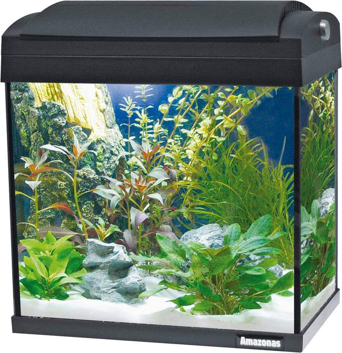 Actual product image Amazonas F31 (24 l)