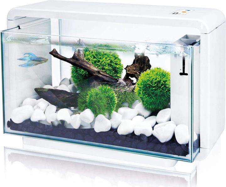 Image du produit Amazonas Couvercle de remplacement avec lampe LED pour aquarium E-25