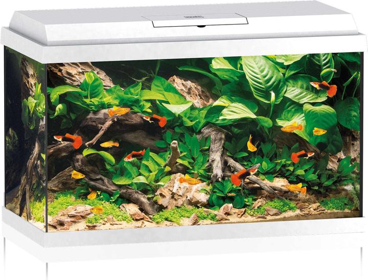 Juwel Aquarium Aquarium Primo 70 LED blanc (70 l)