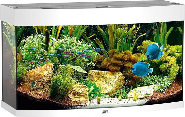 Image du produit Juwel Aquarium Aquarium Vision 180 92x41x55cm blanc (180 l)