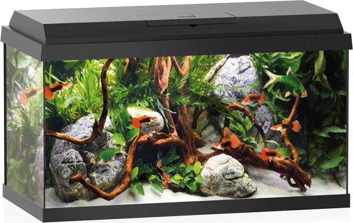 Juwel Aquarium Primo 60 (60 l)