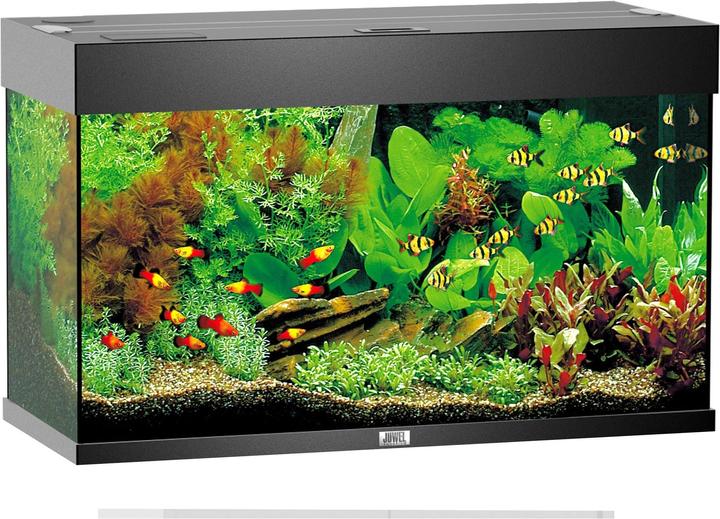 Produktbild Juwel Aquarium Rio (125 l)